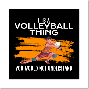 it is a volleyball thing Posters and Art